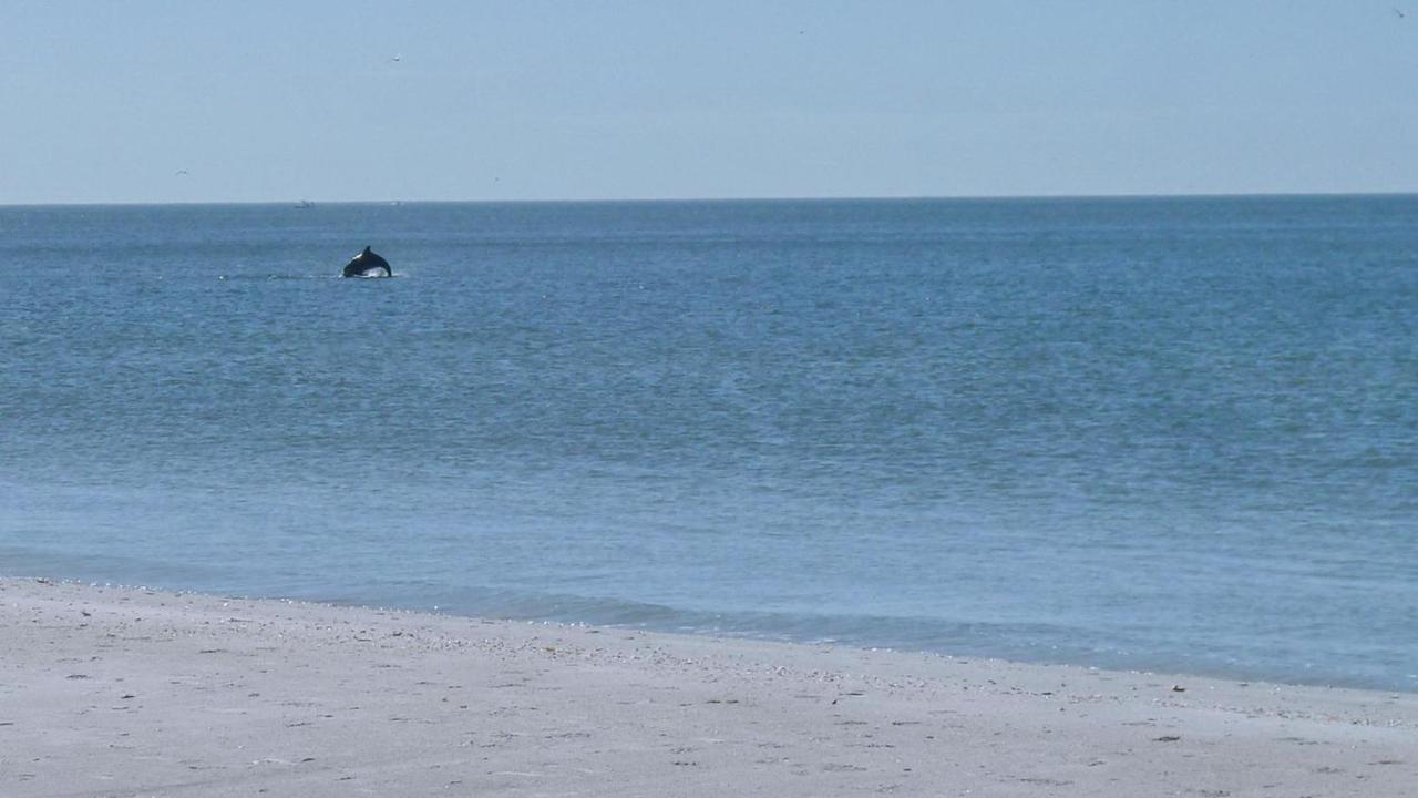 Sunset Beach House 3Br Villa St. Pete Beach Eksteriør bilde
